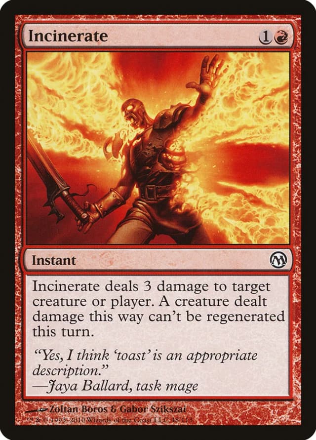 Incinerate image
