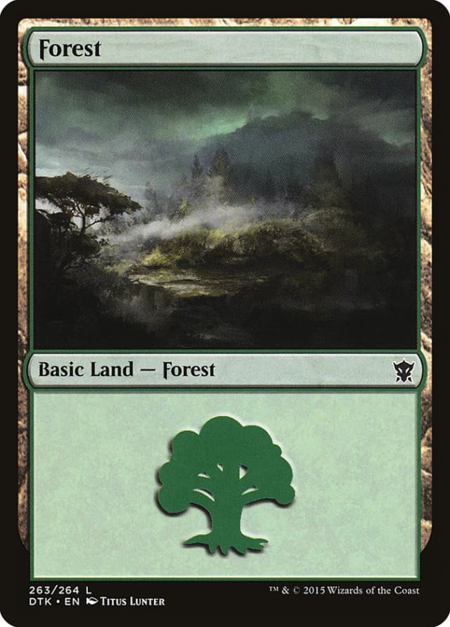Forest image