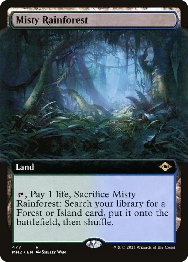 Misty Rainforest image