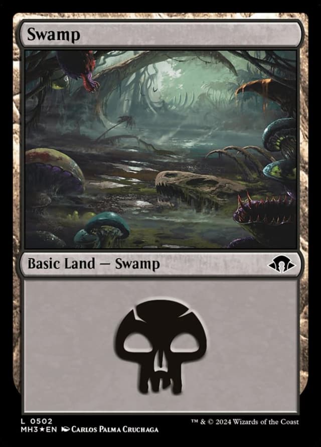 Swamp image