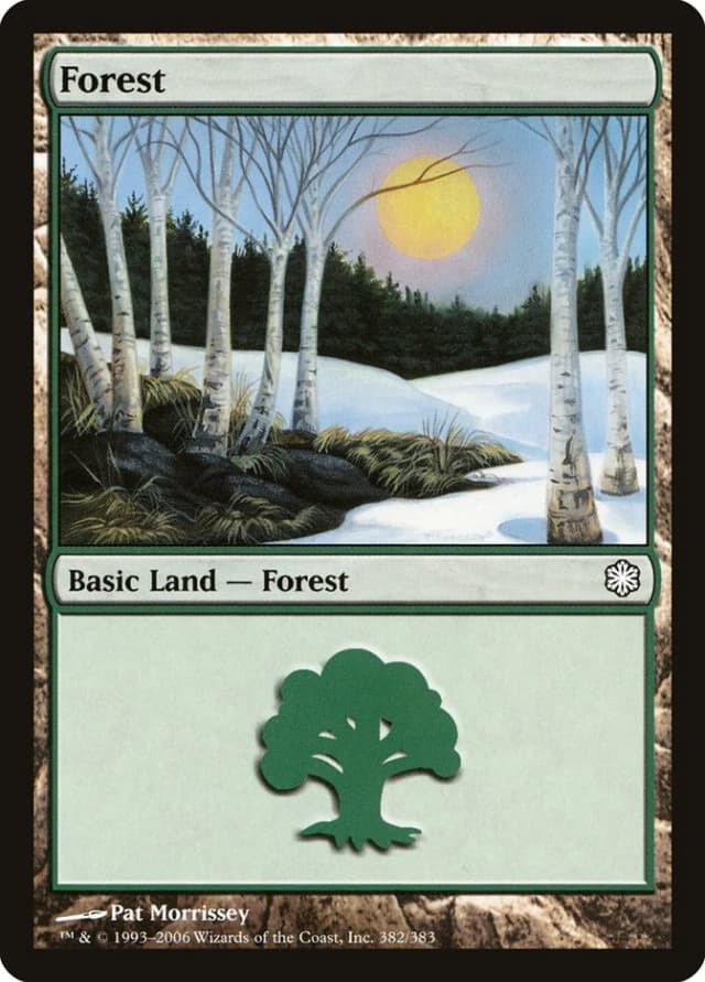 Forest image
