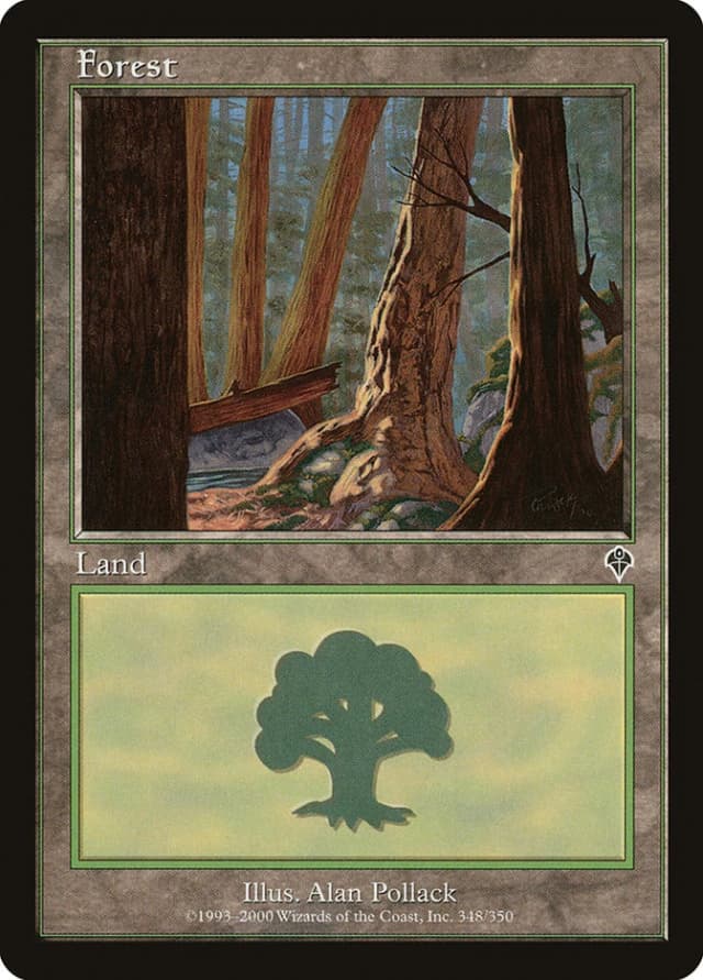 Forest image