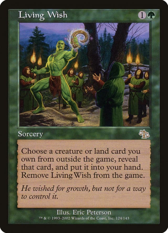Living Wish image