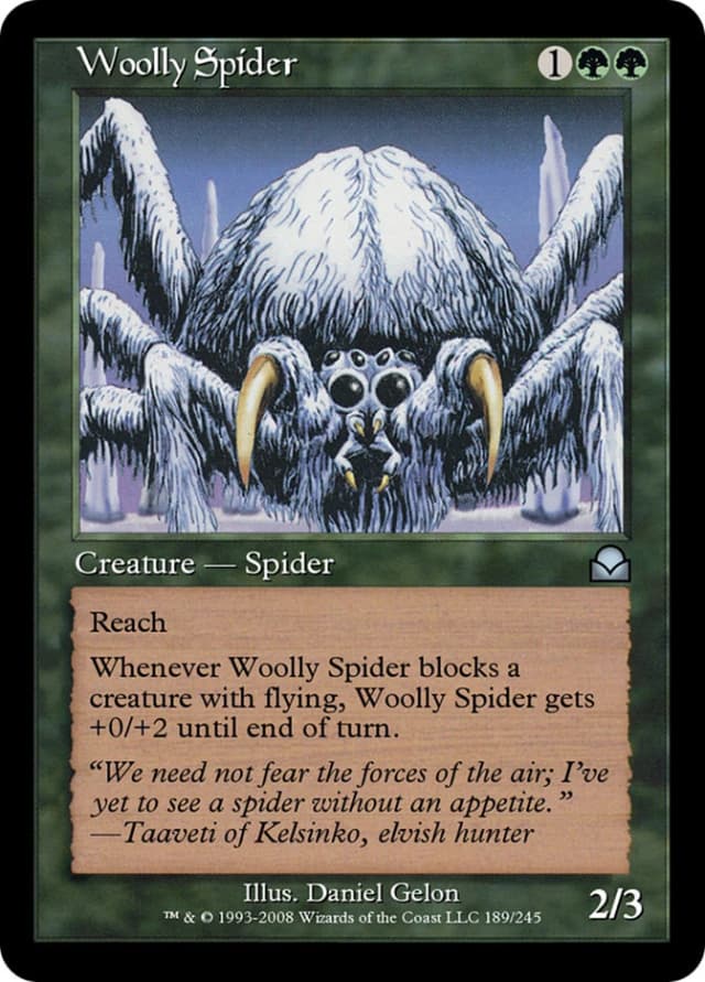 Woolly Spider image