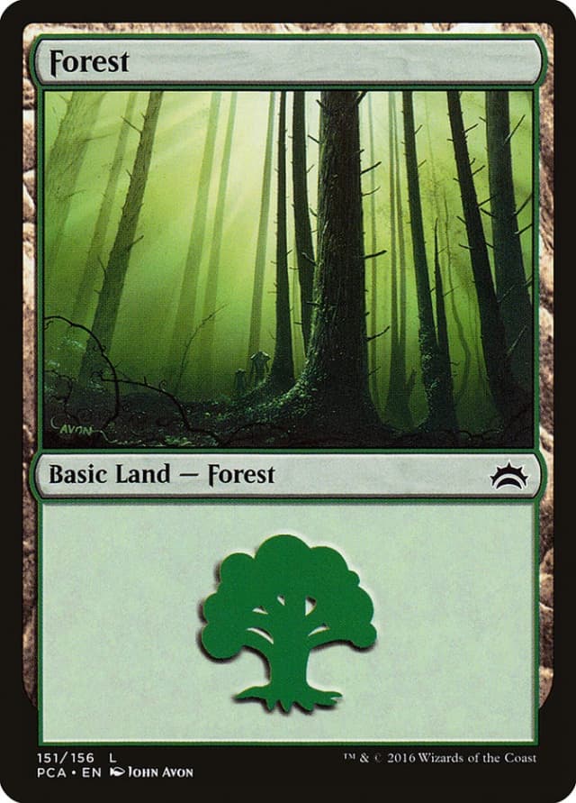 Forest image