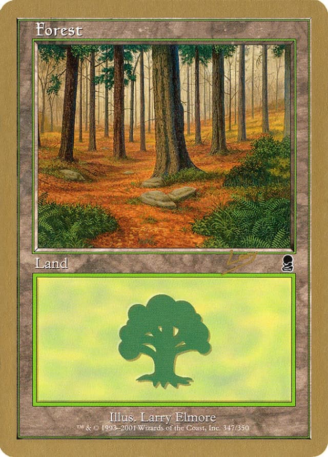 Forest image