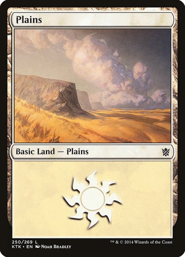 Plains image