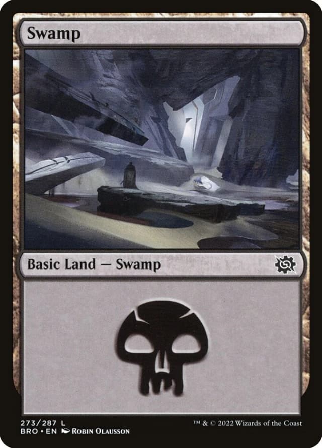 Swamp image