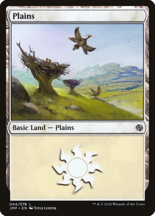 Plains image