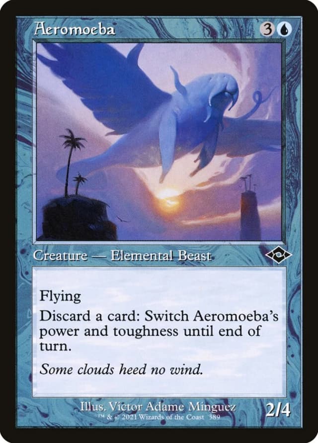 Aeromoeba image
