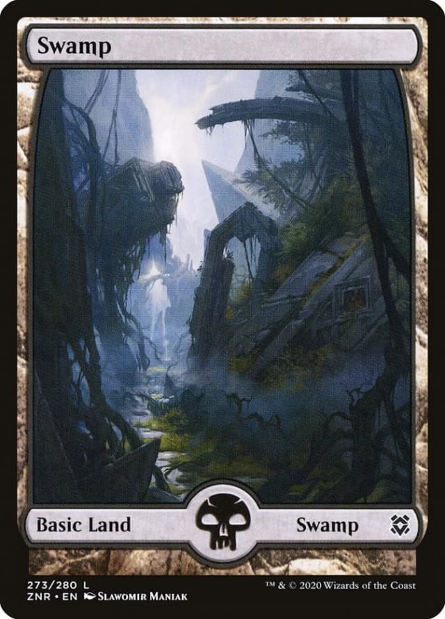 Swamp image