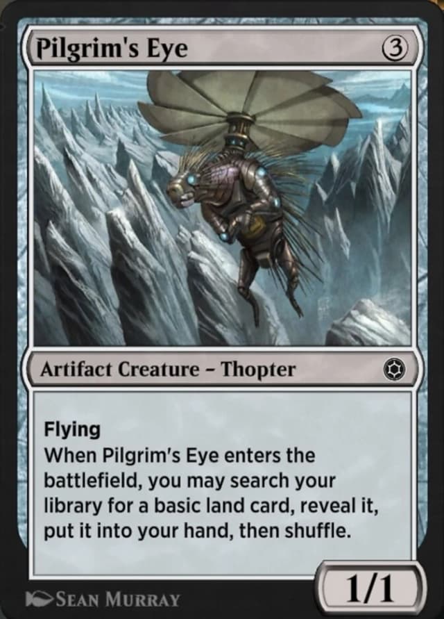 Pilgrim's Eye image