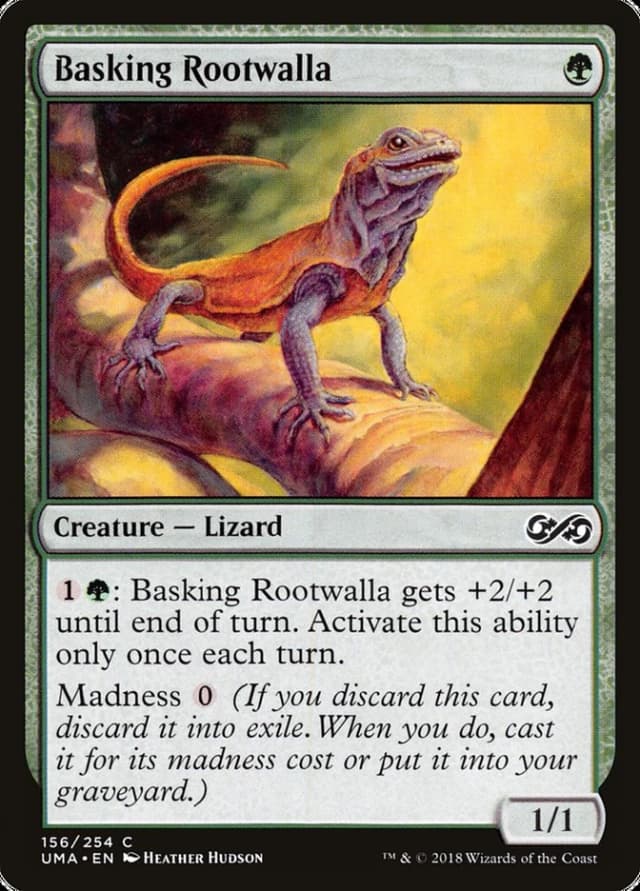 Basking Rootwalla image