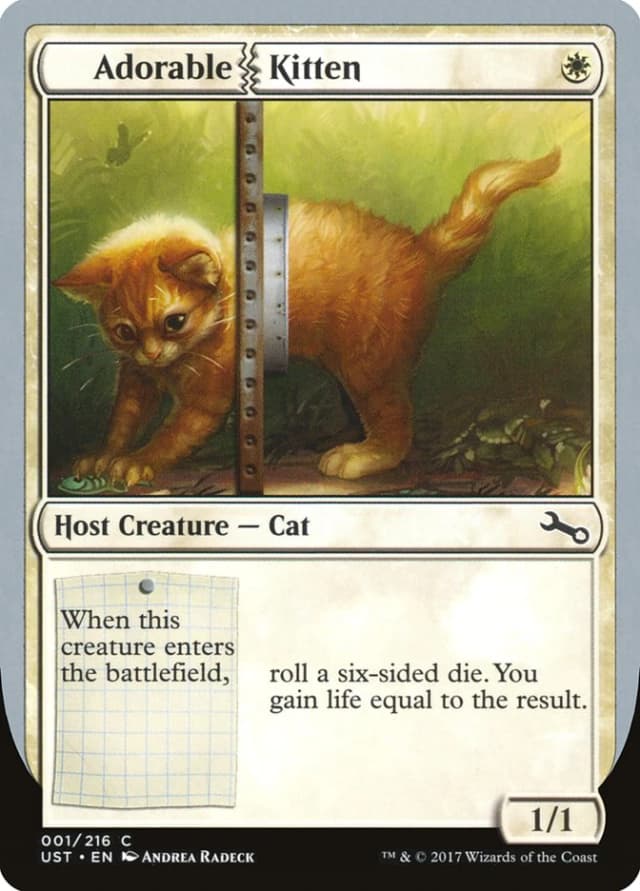 Adorable Kitten image