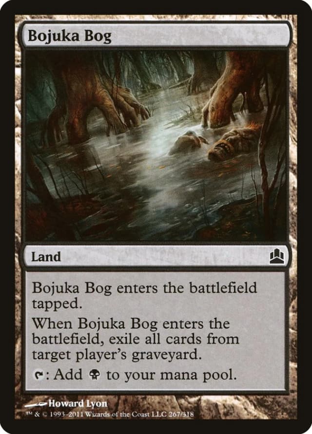 Bojuka Bog image