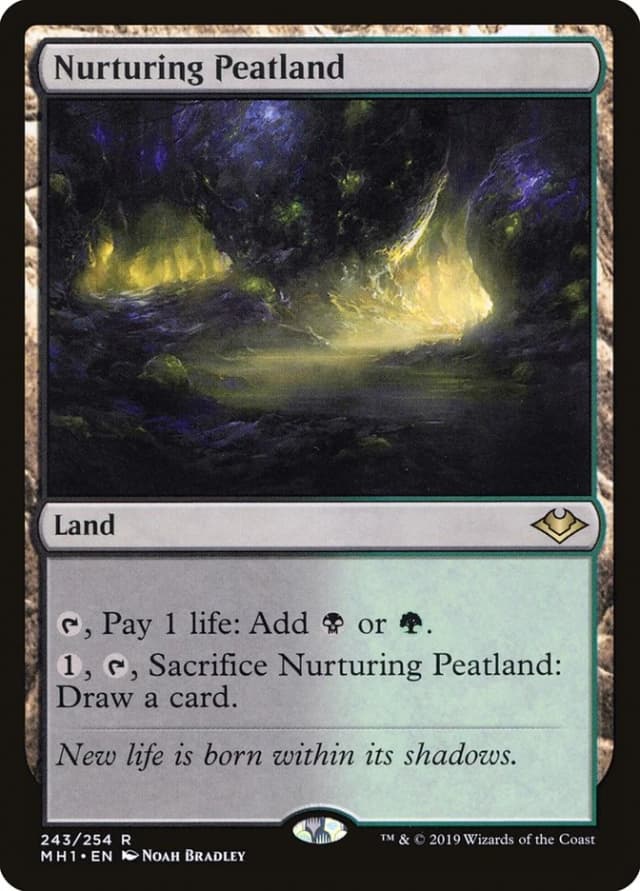 Nurturing Peatland image