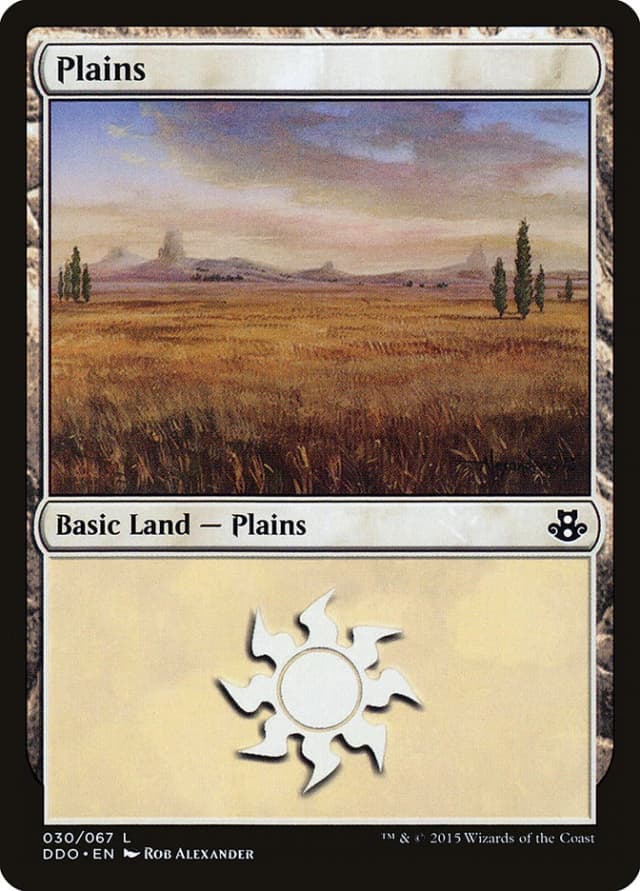 Plains image