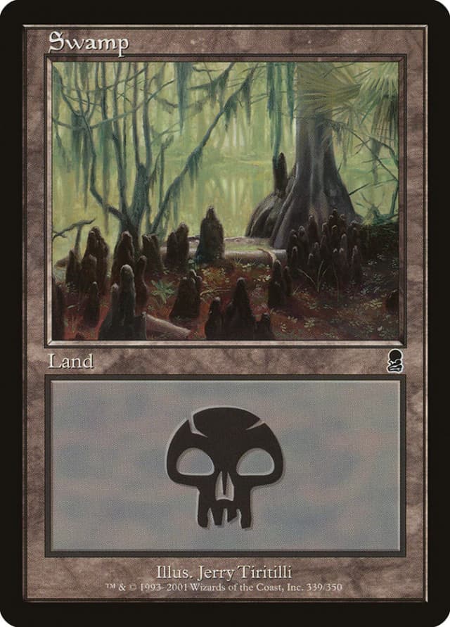 Swamp image