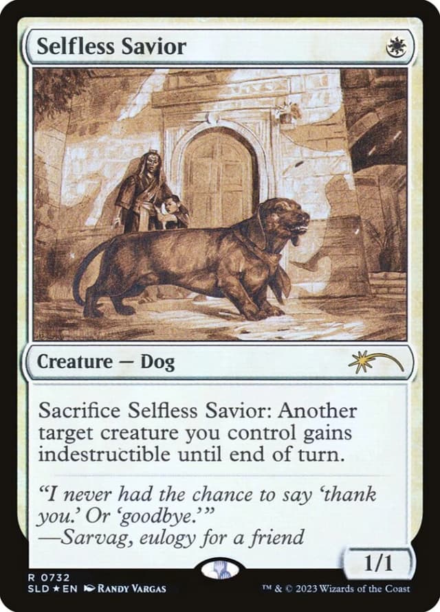 Selfless Savior image