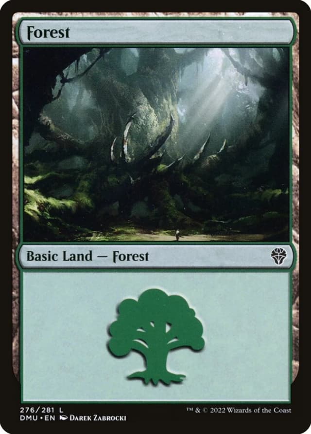 Forest image