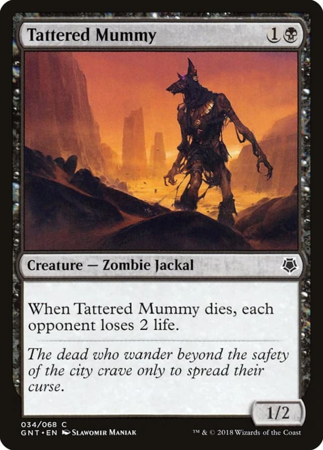 Tattered Mummy image