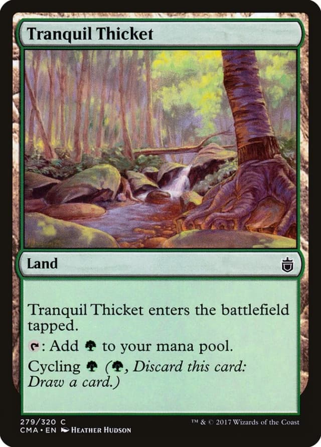Tranquil Thicket image