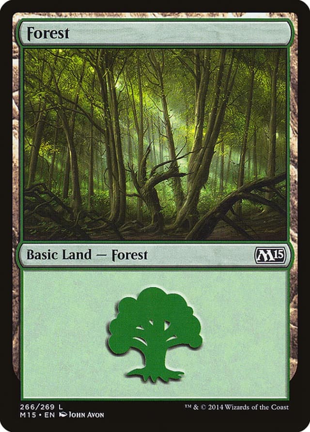 Forest image