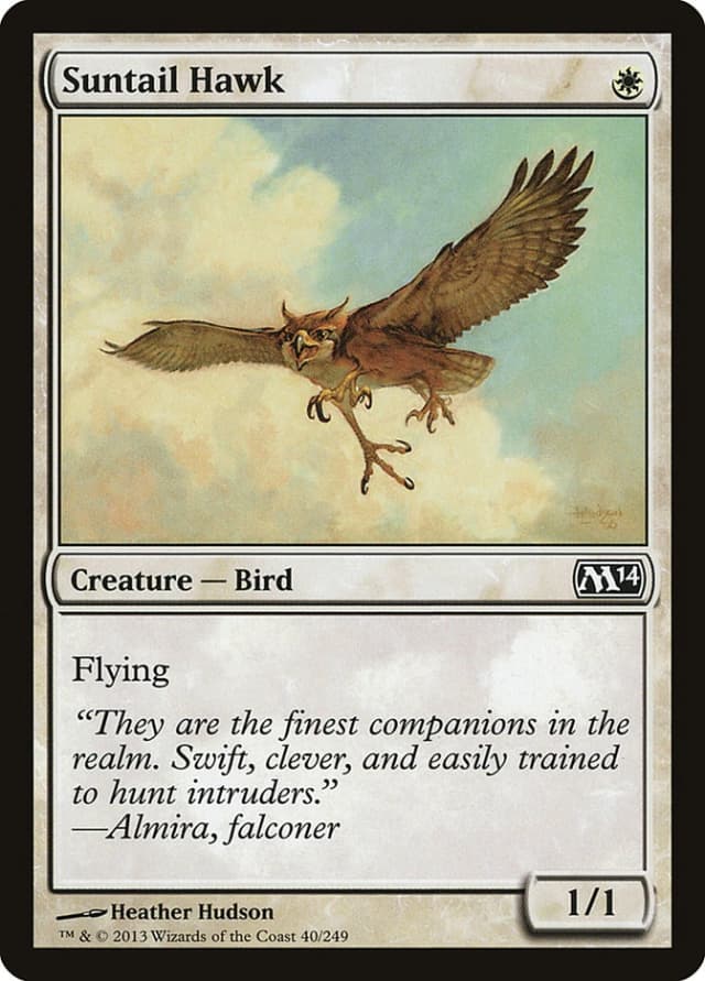 Suntail Hawk image