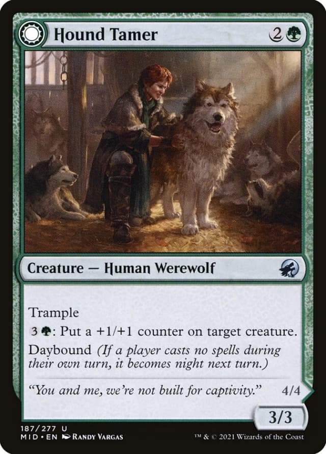 Hound Tamer // Untamed Pup image