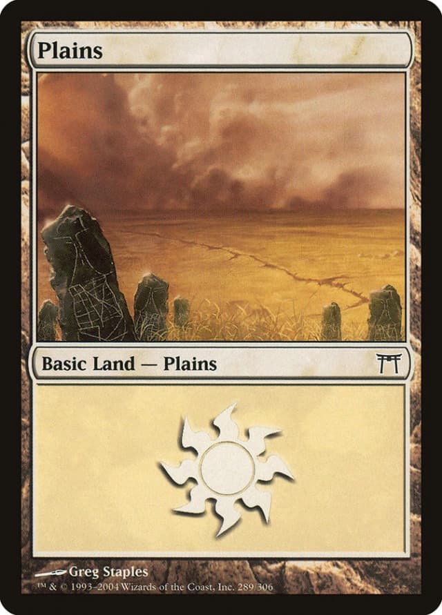Plains image