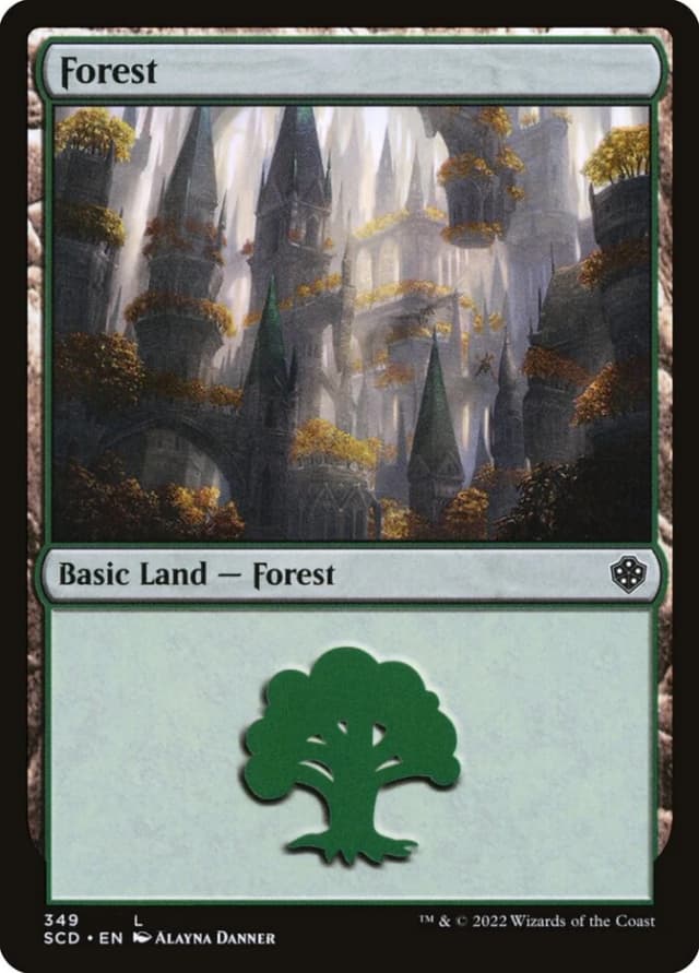Forest image
