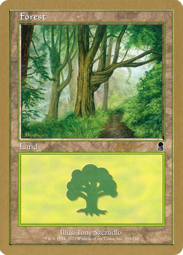 Forest image