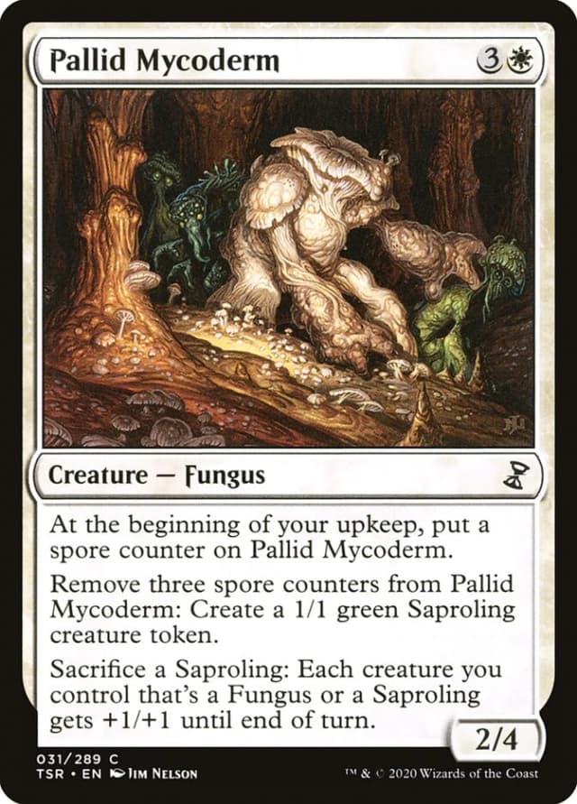 Pallid Mycoderm image