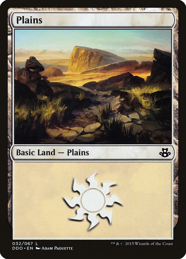 Plains image