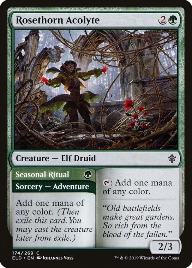 Rosethorn Acolyte // Seasonal Ritual image