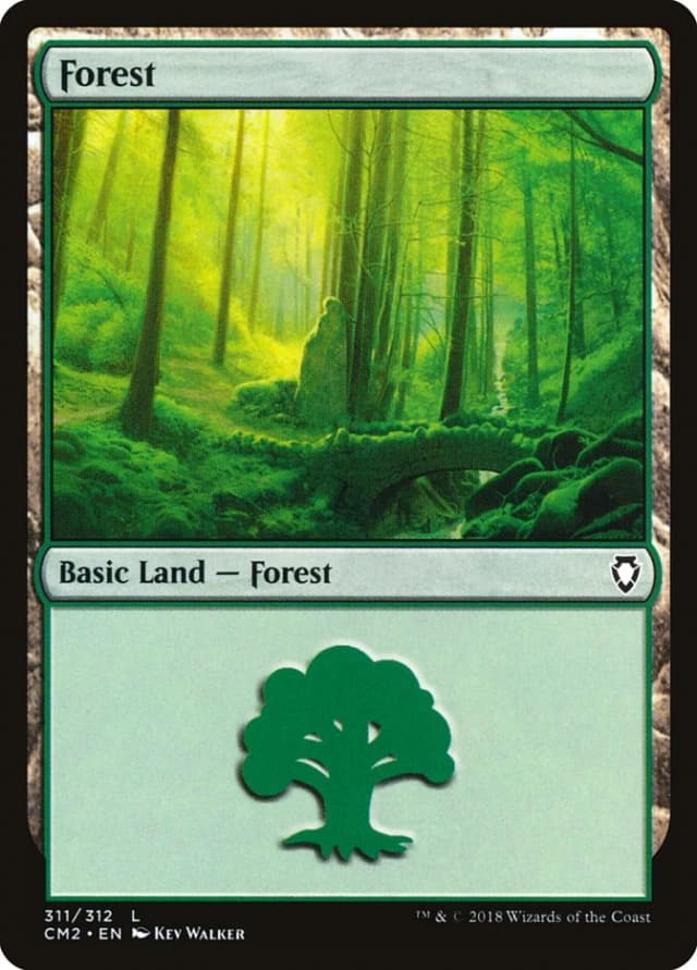 Forest image