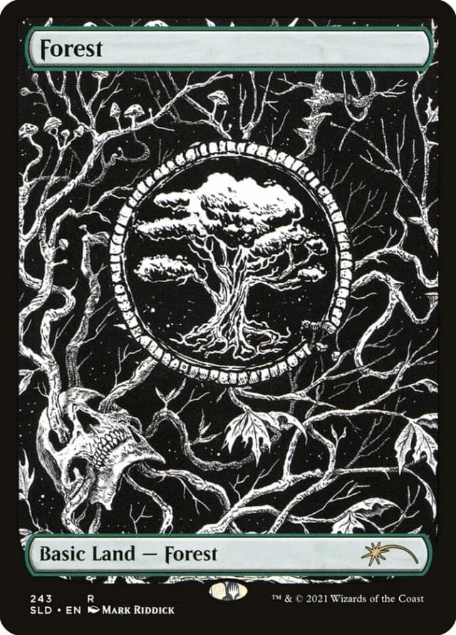 Forest image