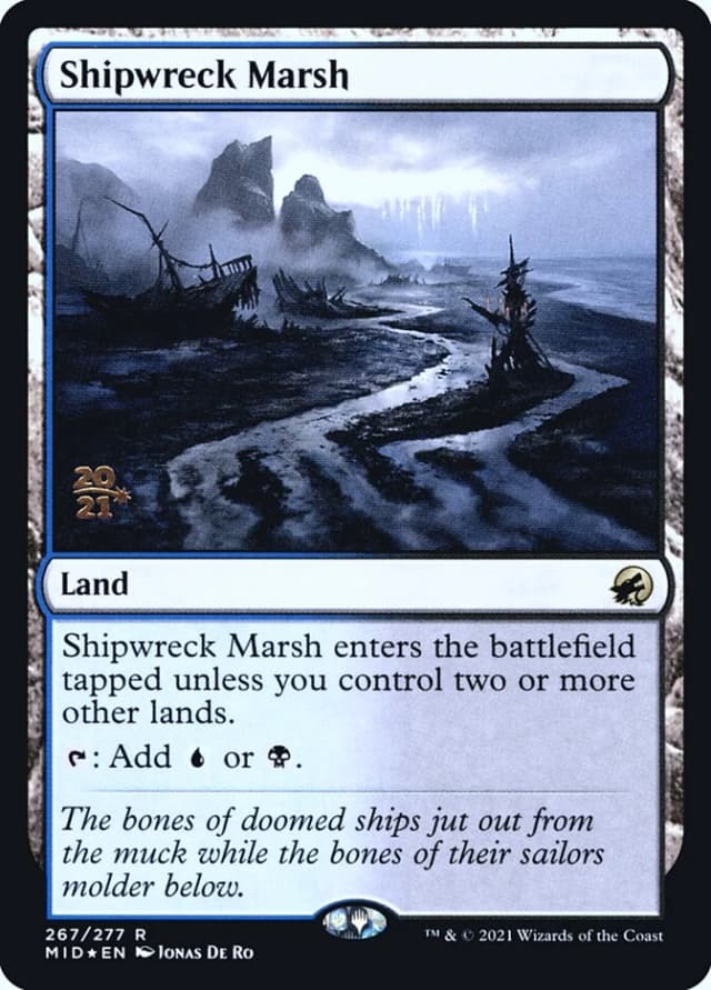 Shipwreck Marsh image