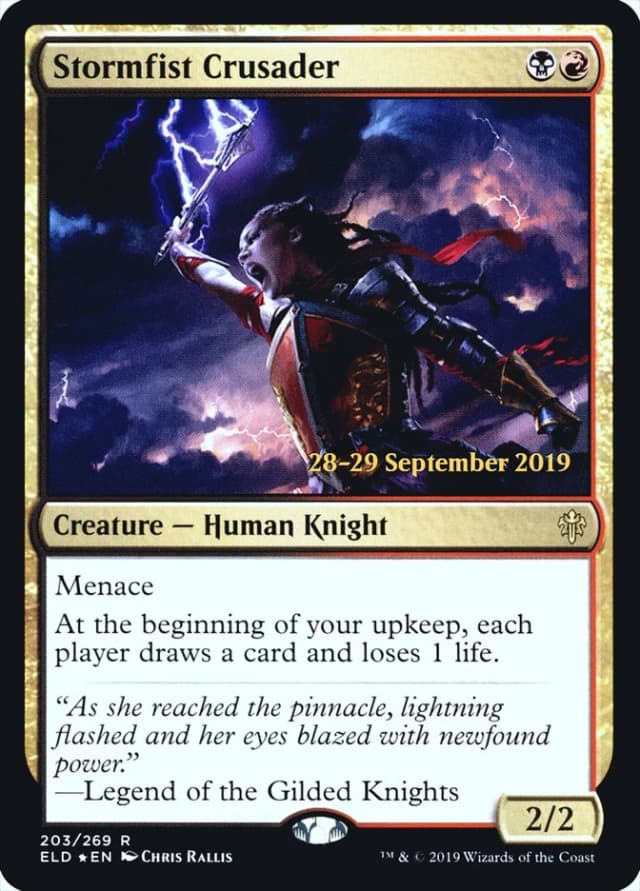 Stormfist Crusader image
