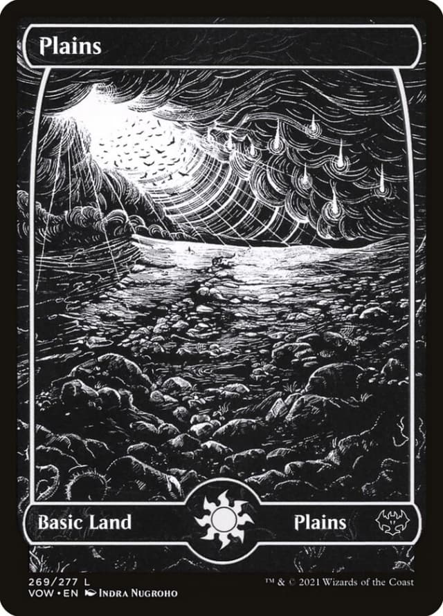 Plains image
