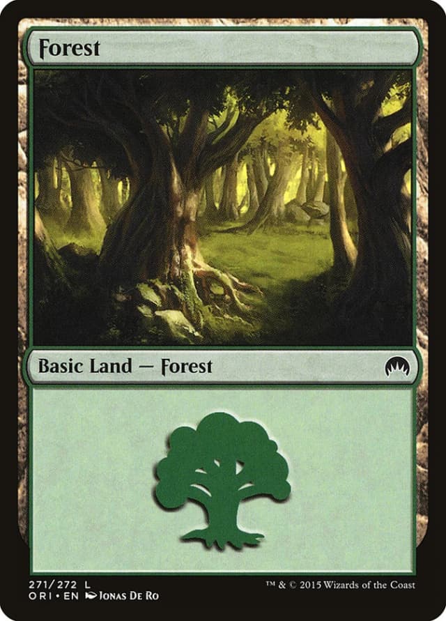 Forest image