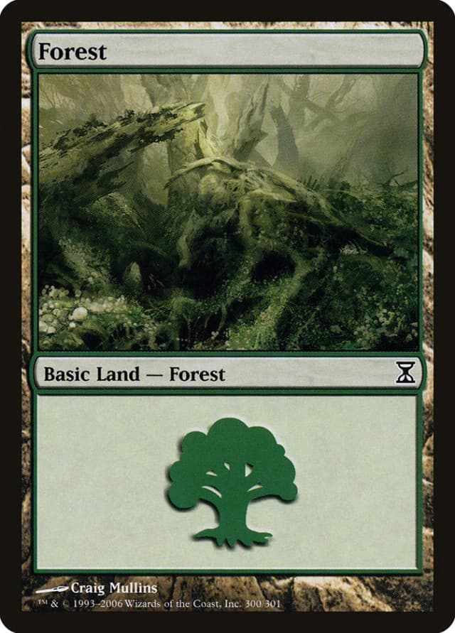 Forest image
