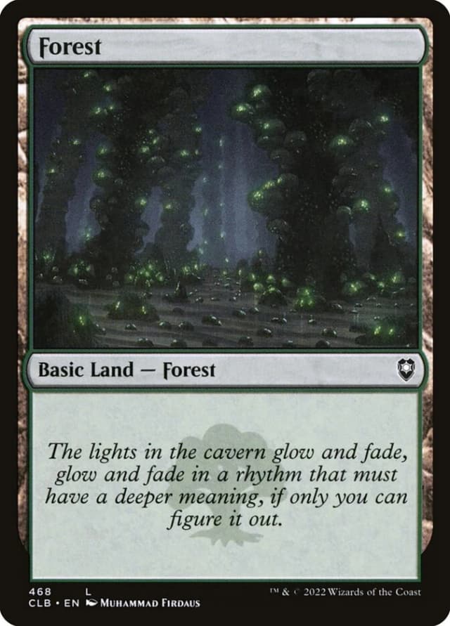 Forest image