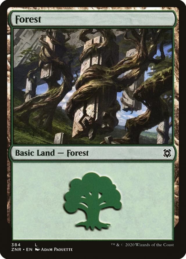 Forest image