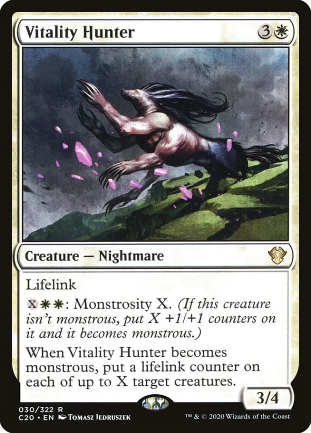 Vitality Hunter image