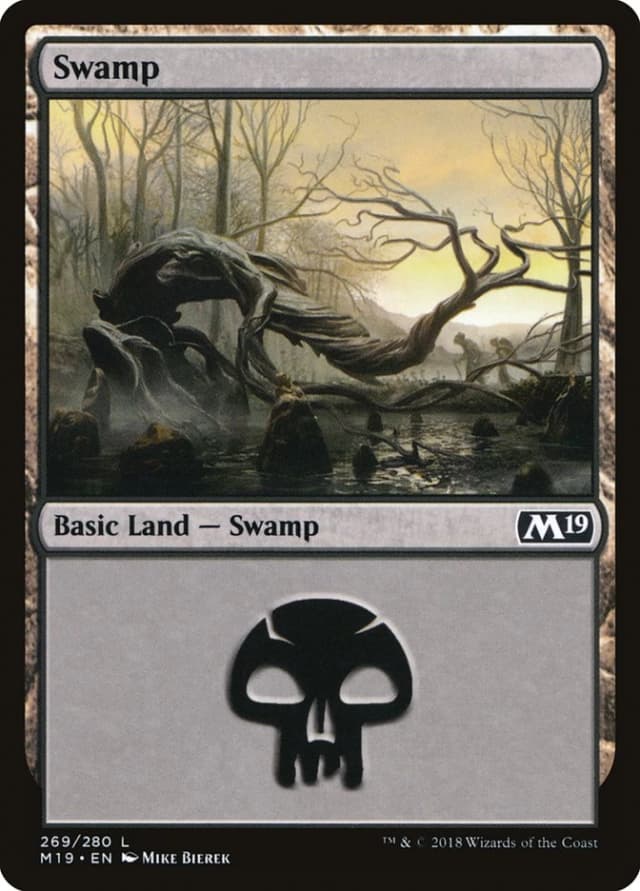 Swamp image