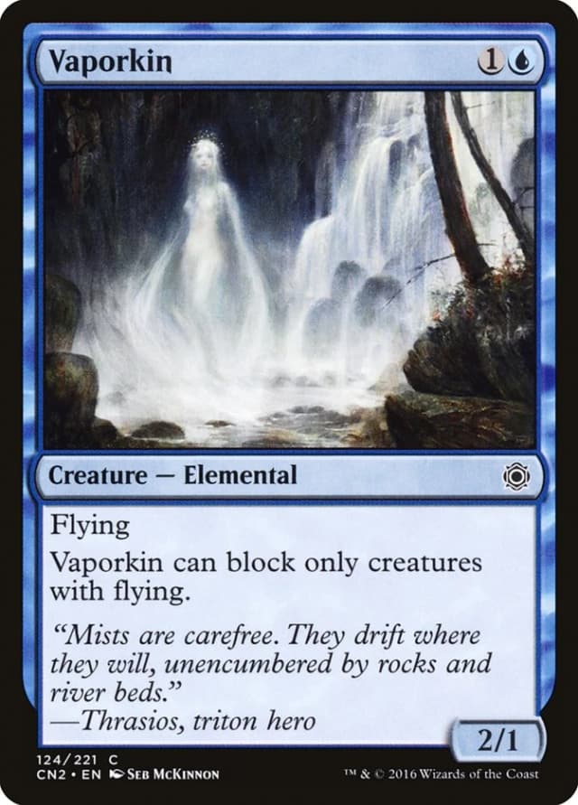 Vaporkin image
