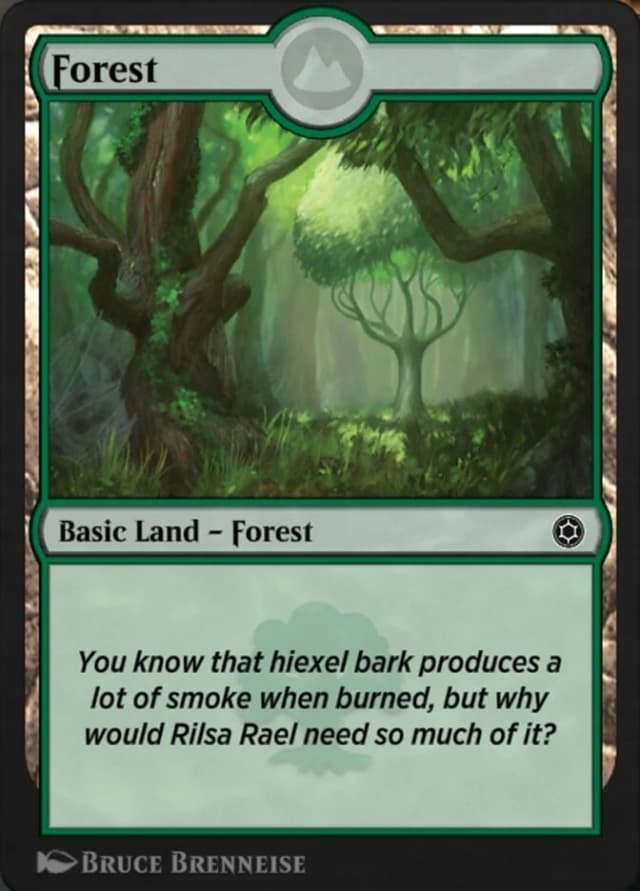 Forest image