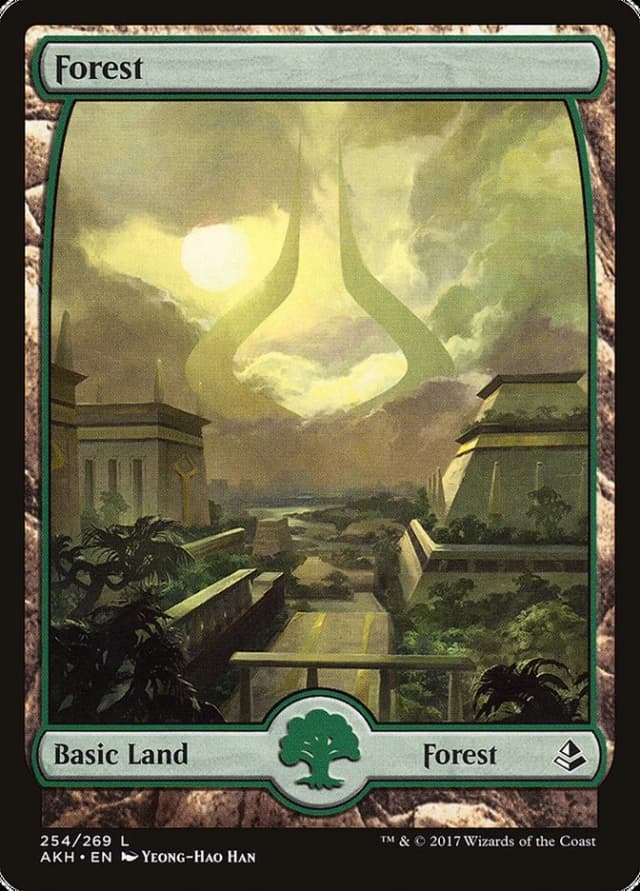 Forest image