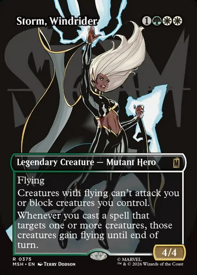 Storm, Windrider image